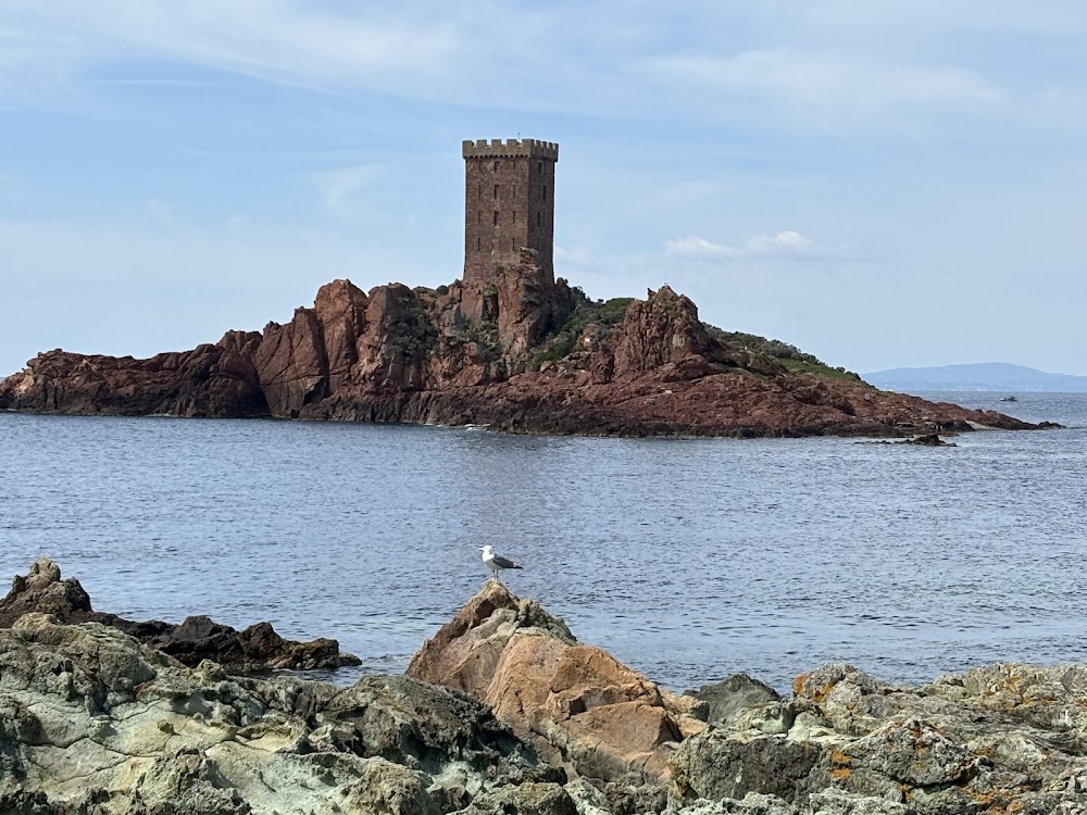 Plage du Débarquement