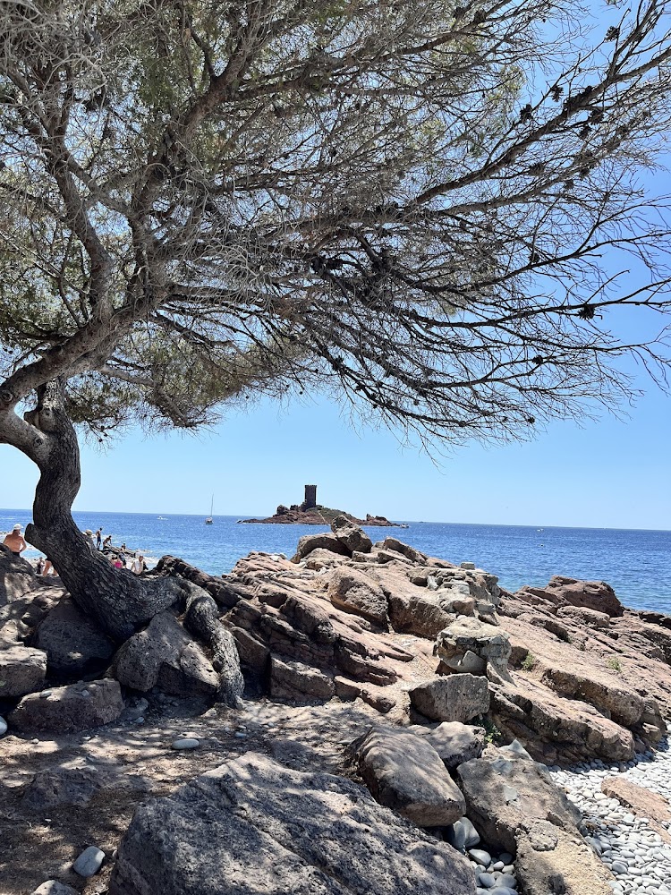 Plage du Débarquement