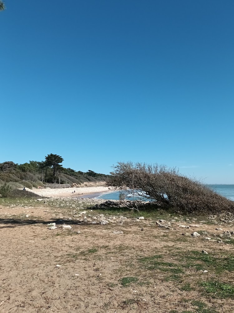Plage de Ragounite
