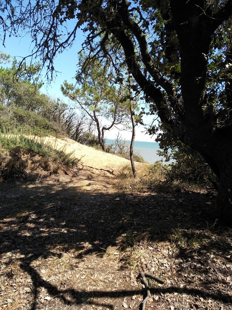 Plage de Ragounite