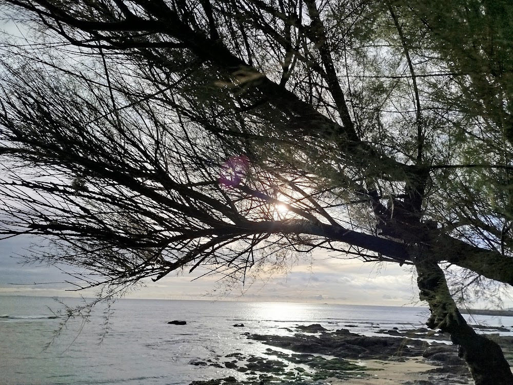 Plage de Bonne-Source