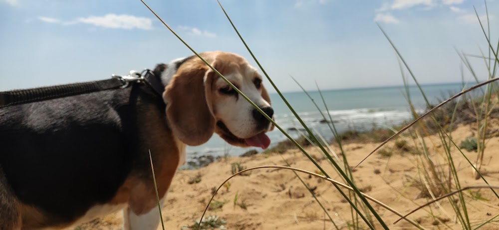 La Grand-Plage