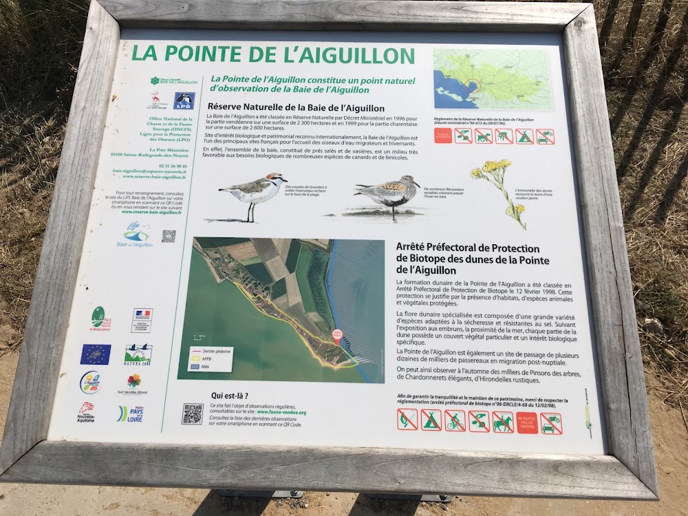 Plage de la Pointe