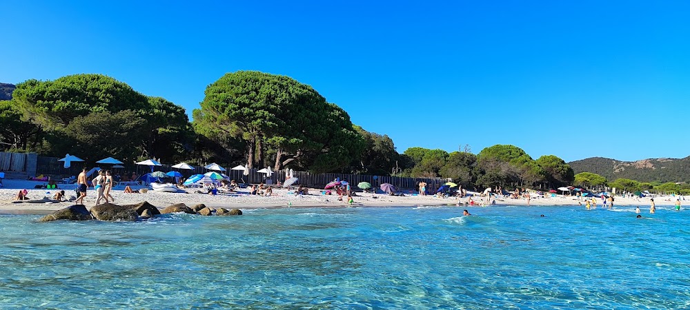 Plage de Palombaggia