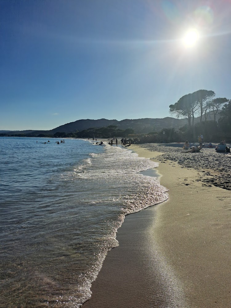 Plage de Palombaggia