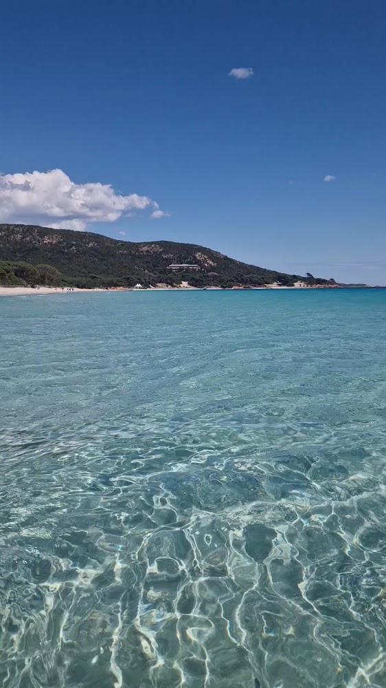Plage de Palombaggia
