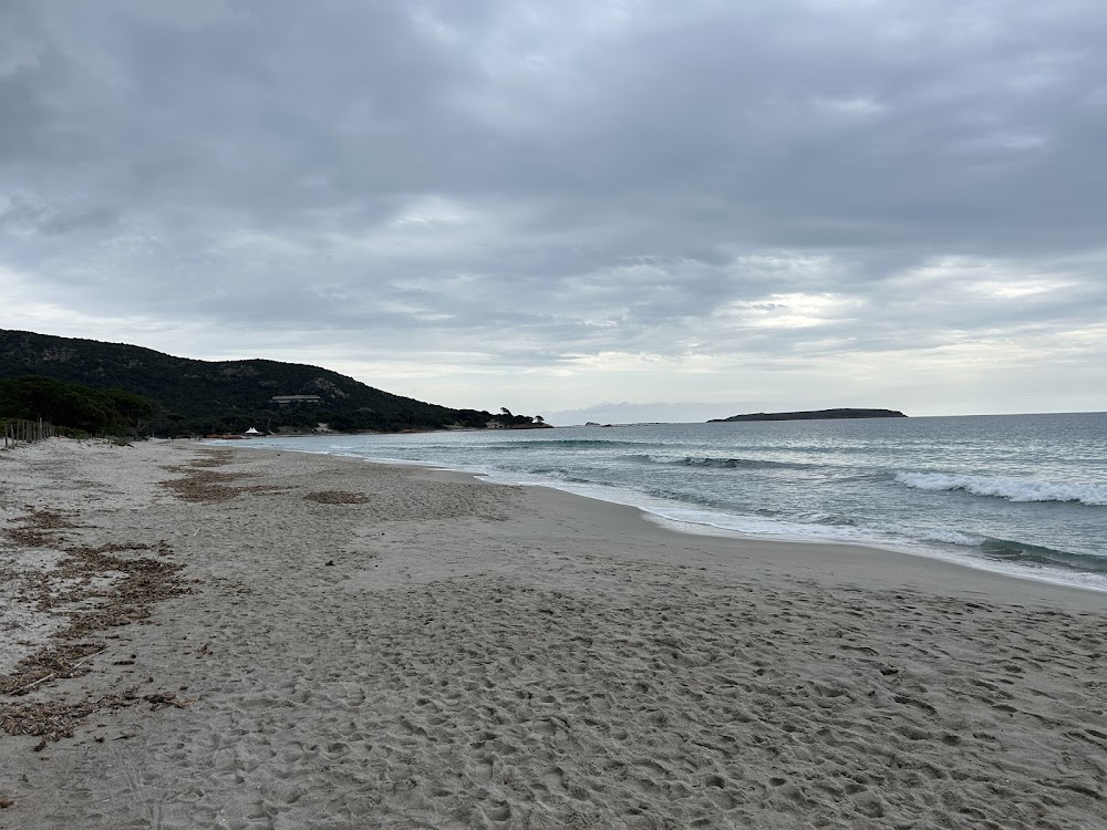 Plage de Palombaggia