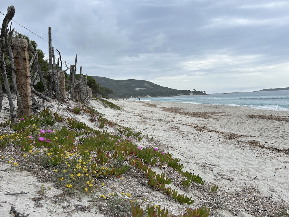 Plage de Palombaggia
