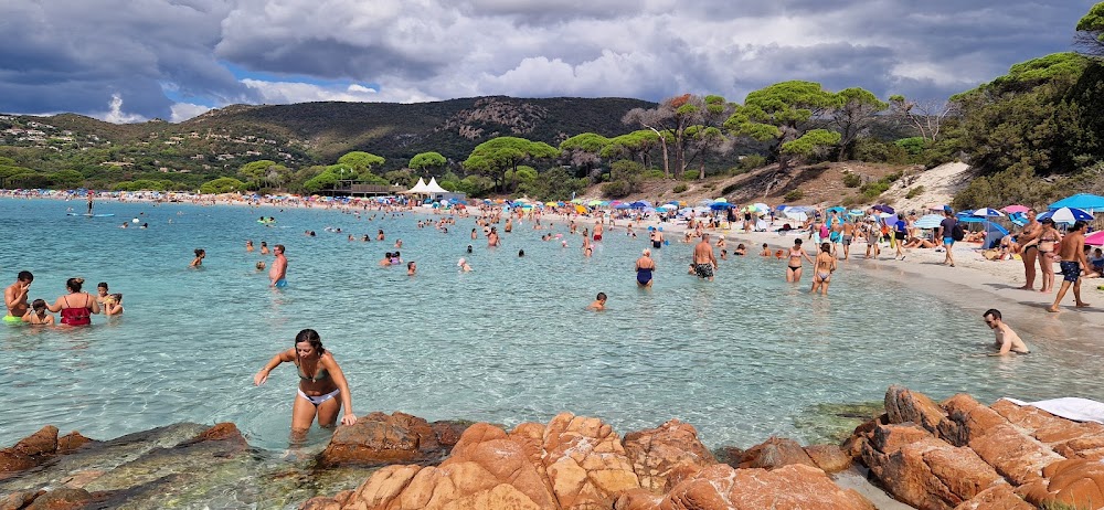 Plage de Palombaggia
