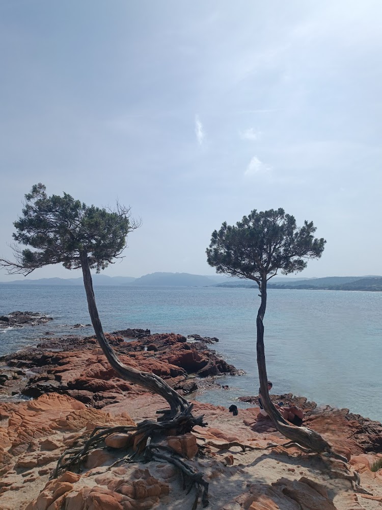 Plage de Palombaggia