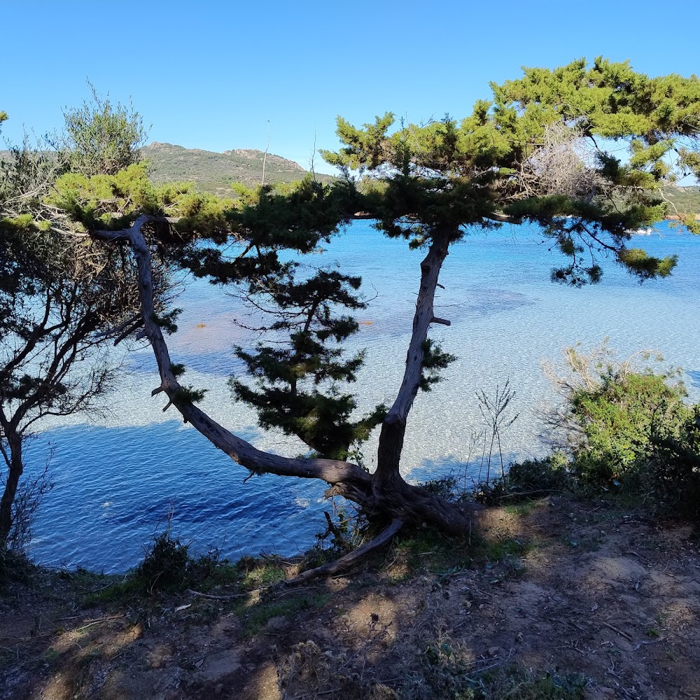 Plage de Tamaricciu