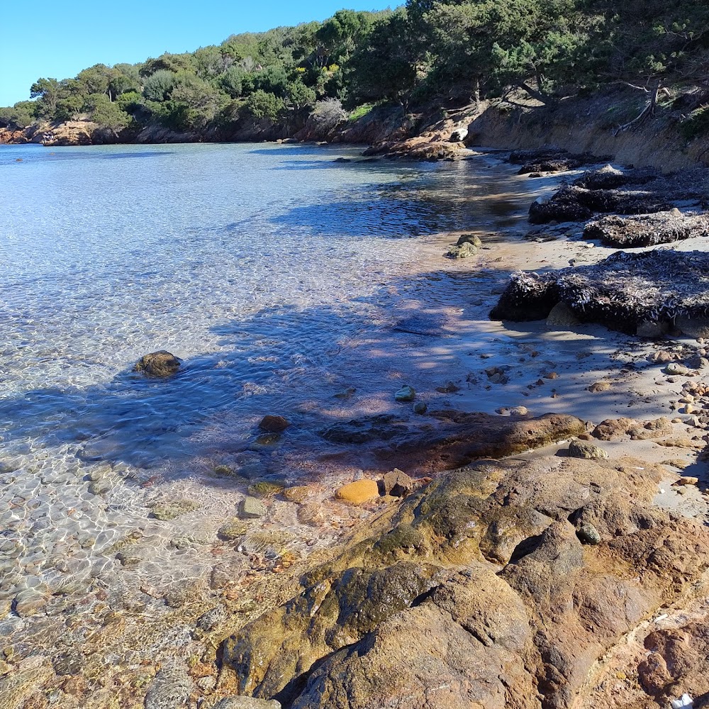 Plage de Tamaricciu
