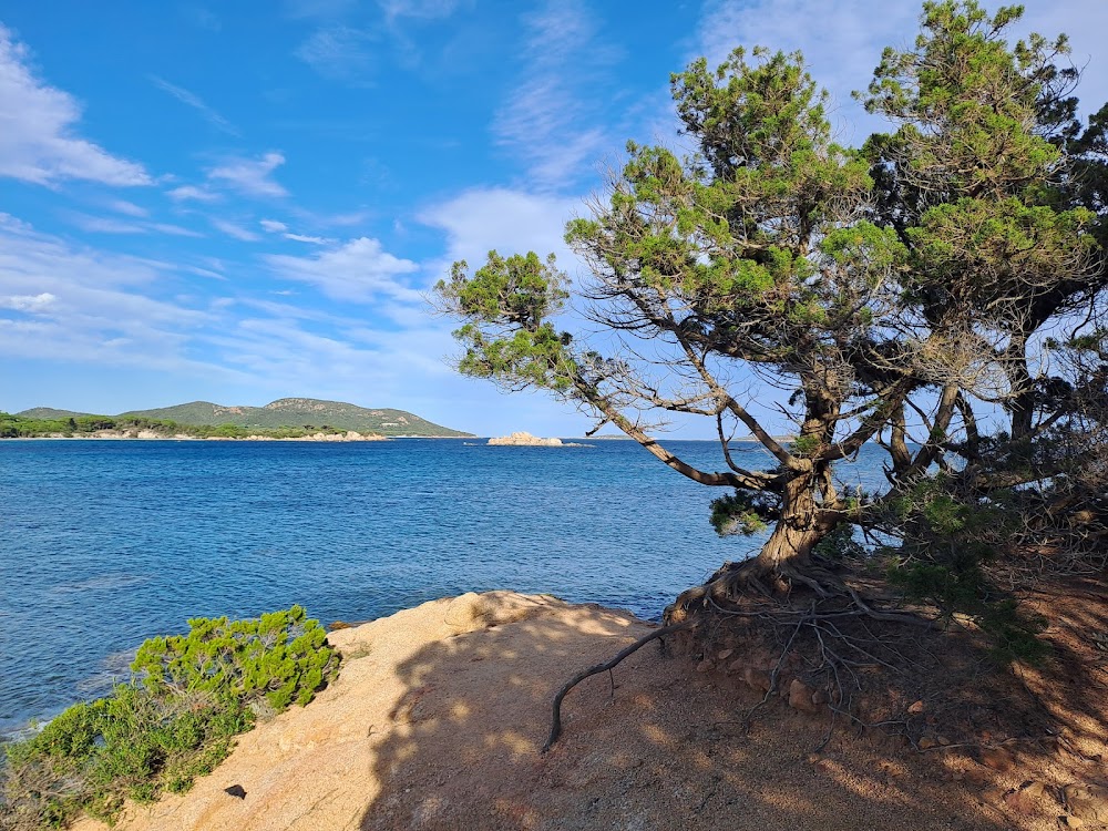 Plage de Tamaricciu