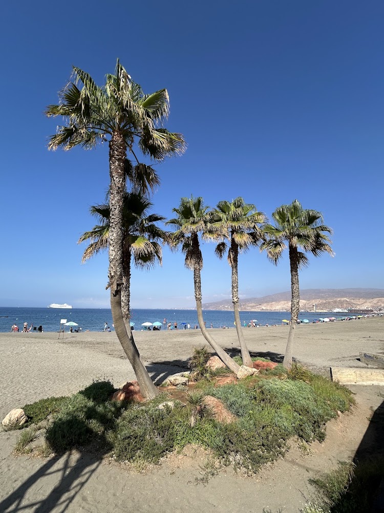 Playa de San Miguel