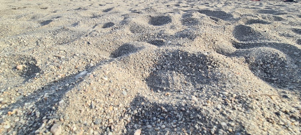Playa de San Miguel