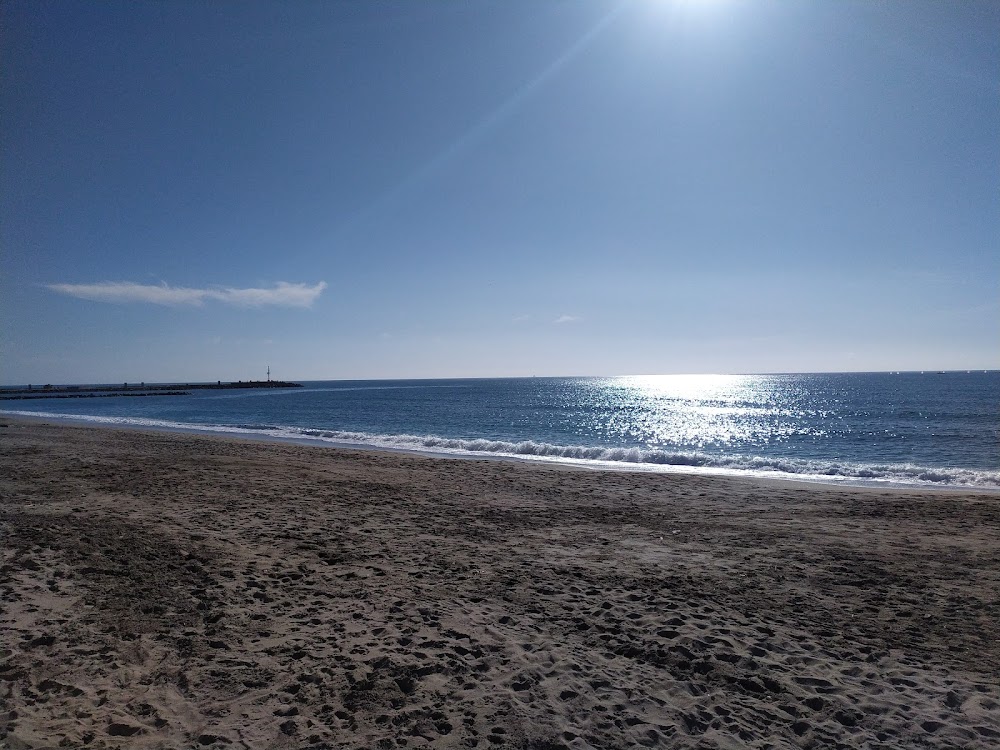 Playa del Auditorio - PLAYA DE ALMERÍA