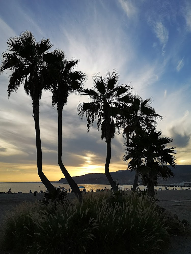 Playa del Auditorio - PLAYA DE ALMERÍA