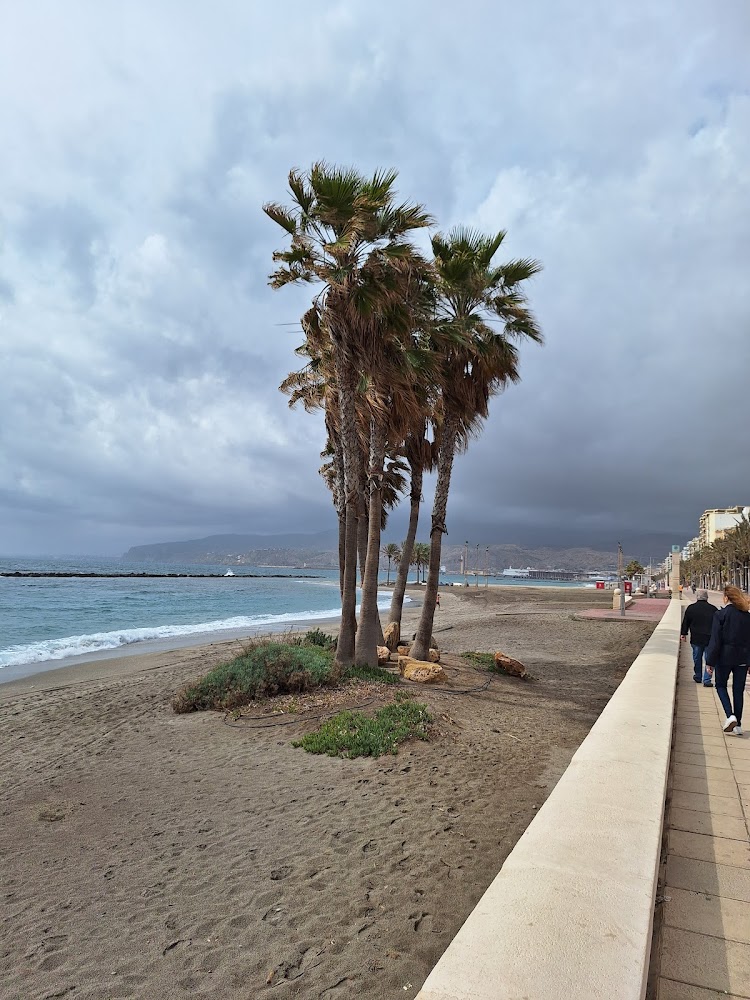 Playa del Auditorio - PLAYA DE ALMERÍA