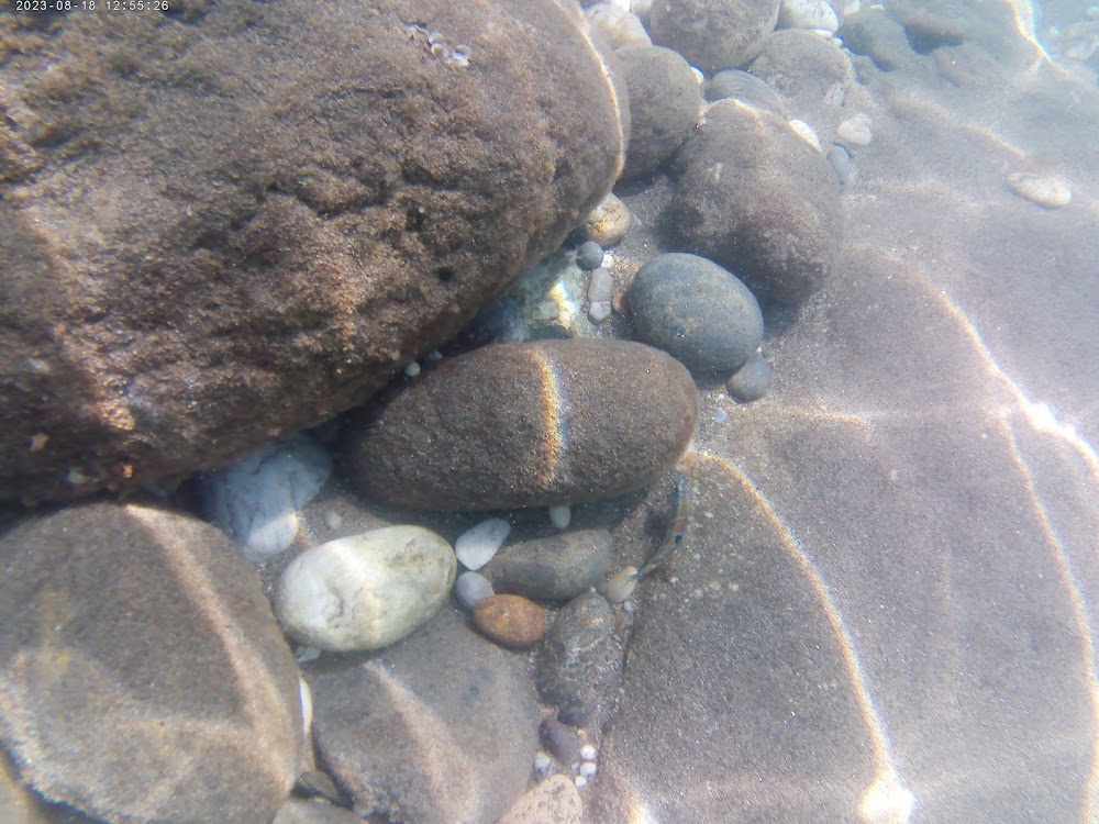 Playa de Carboneras