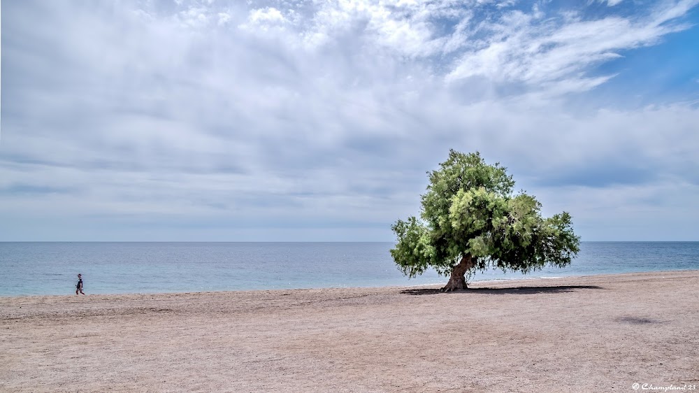 Playa de los Bajos