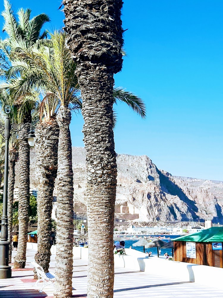 Playa de los Bajos