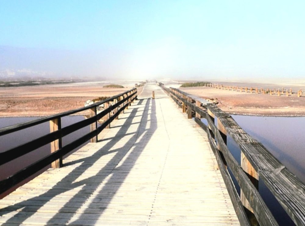 Playa de las Salinas