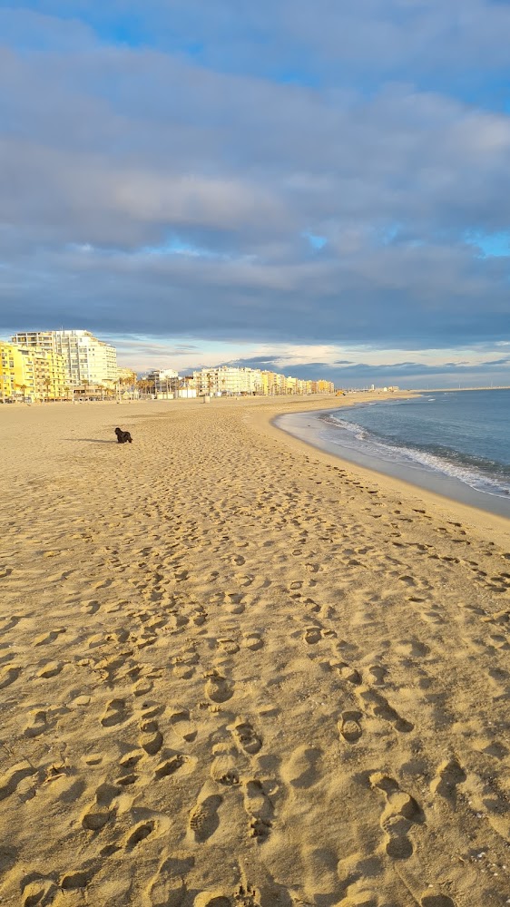 Plage du Grand Large