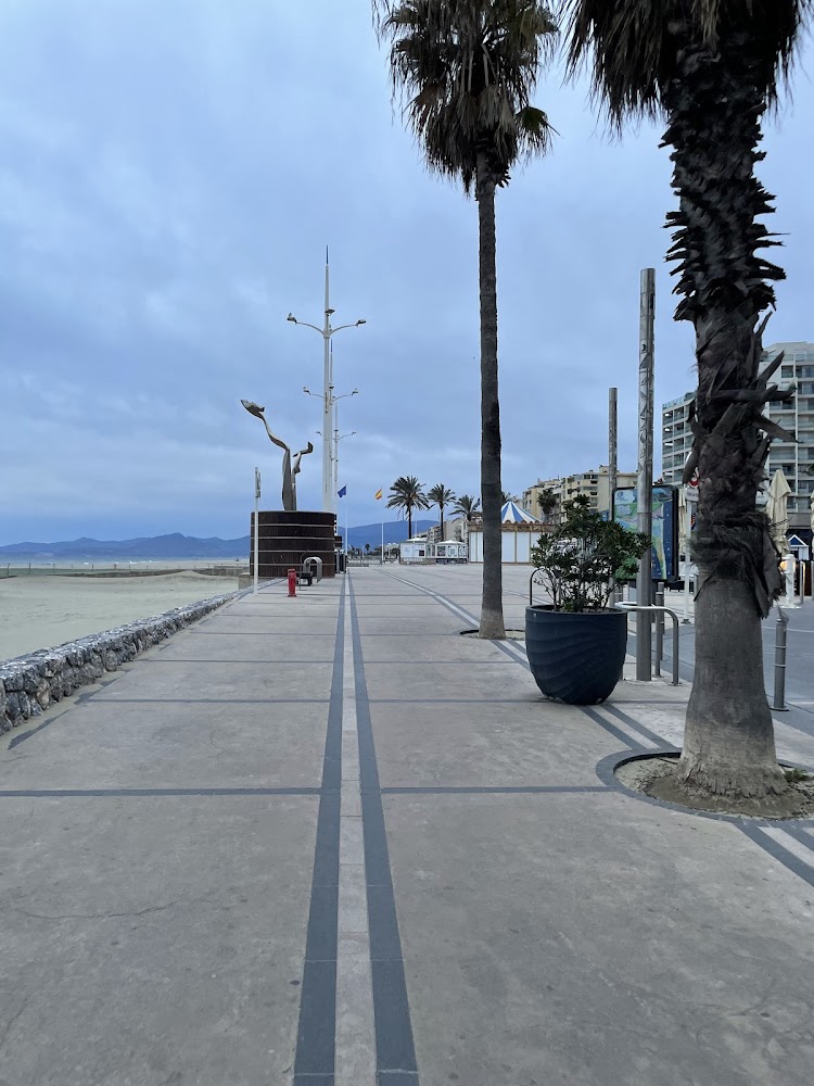 Plage du Grand Large