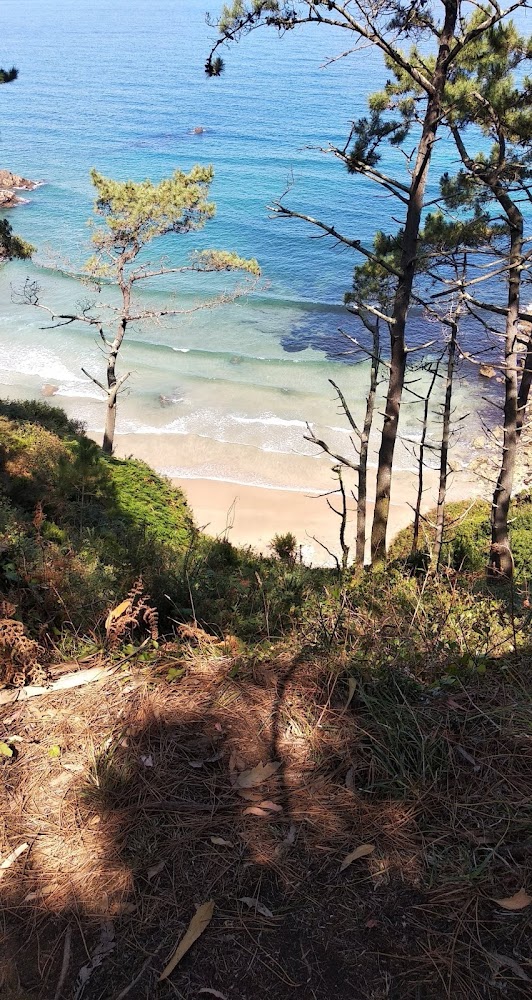 Playa de Aguilar