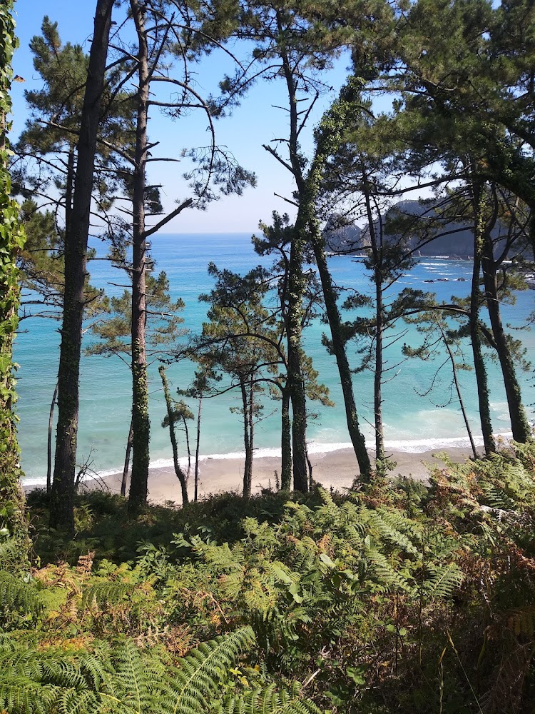 Playa de Oleiros