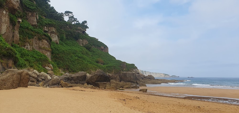 Playa de La Ñora