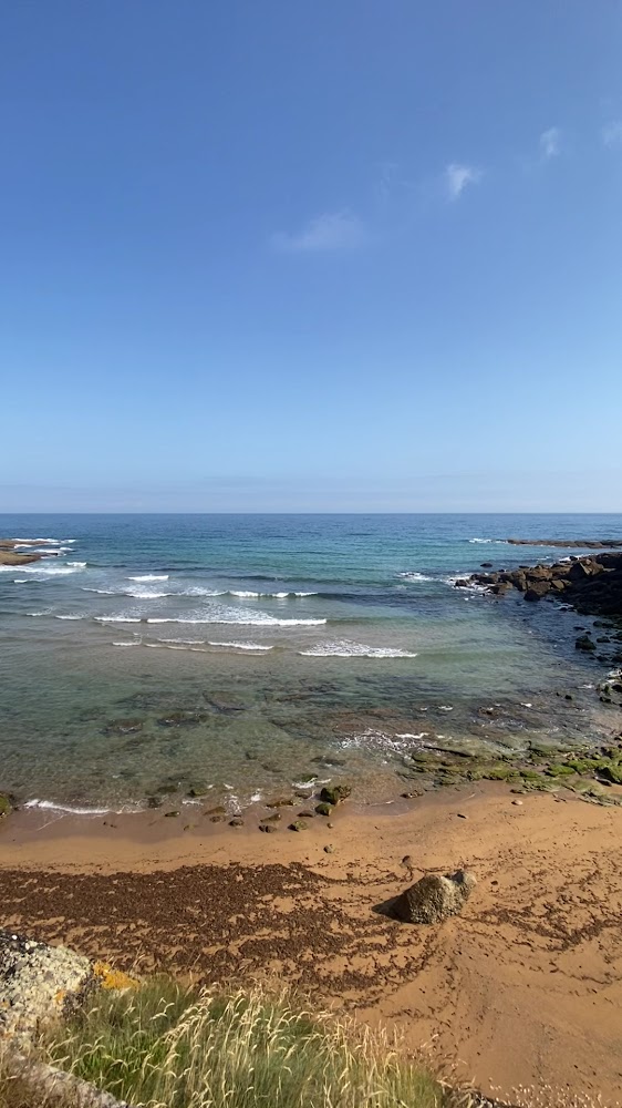 Playa de La Ñora