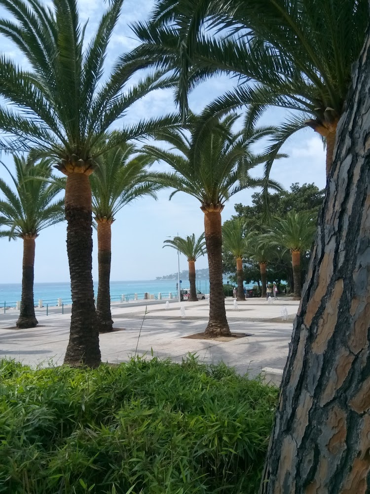 Plage de Borrigo