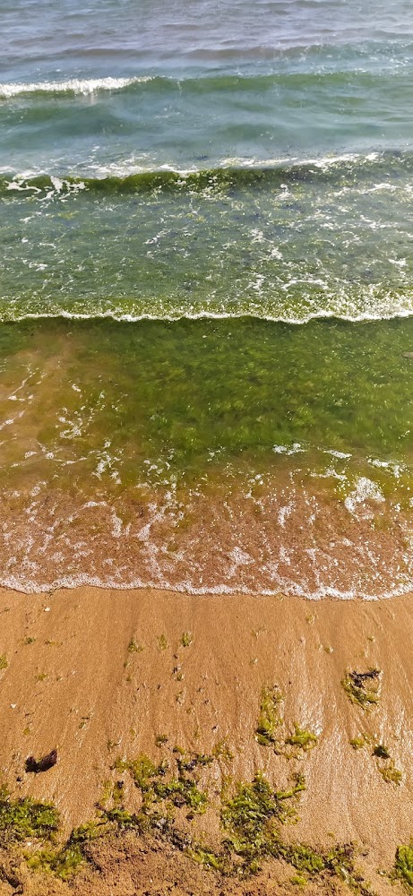 Playa del Arbeyal
