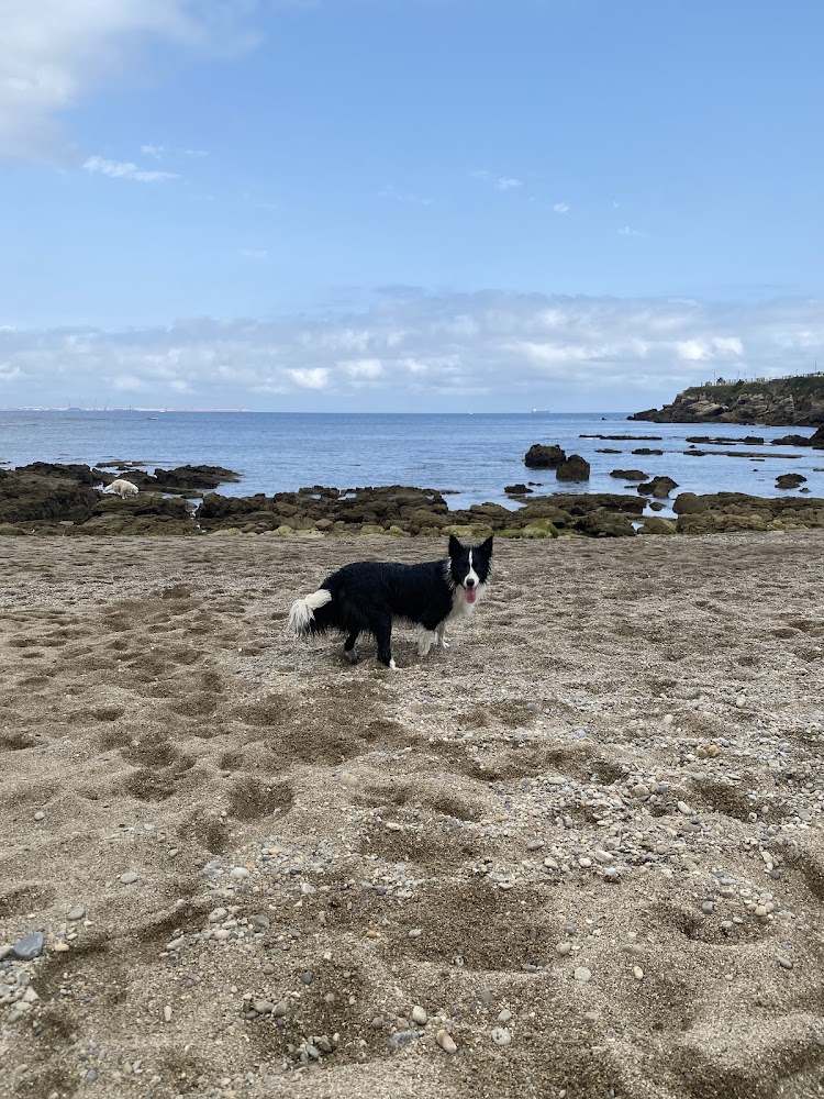 Playa de Peñarrubia