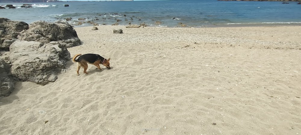 Playa del Cervigón