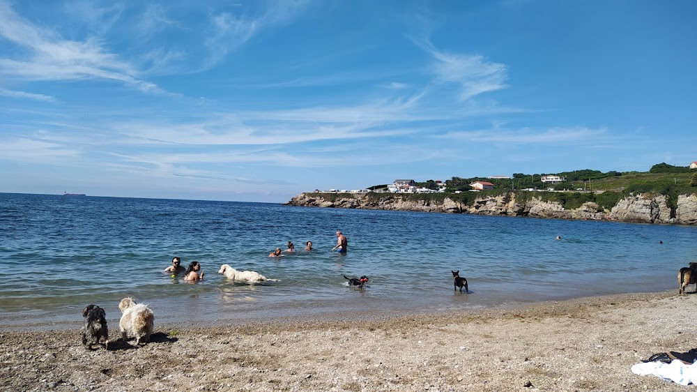 Playa del Cervigón