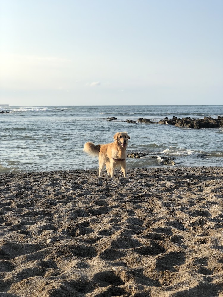Playa del Cervigón