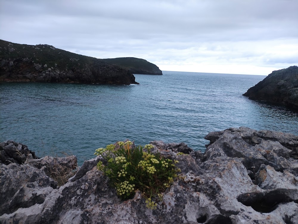 Playa de Poo