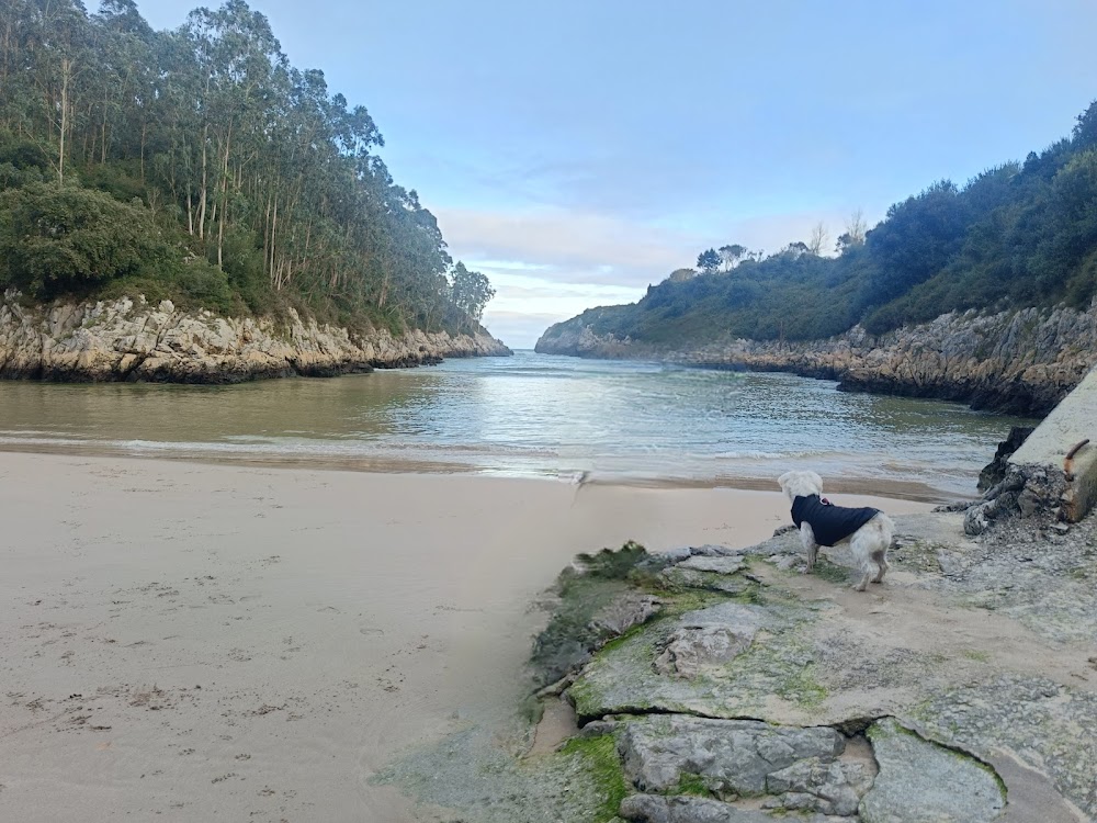 Playa de Guadamía