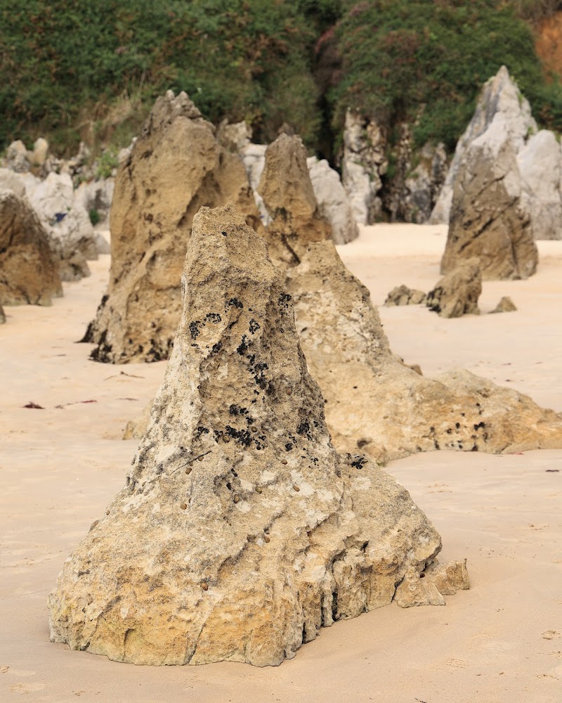 Playa de Toró