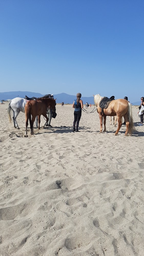 Plage Nord