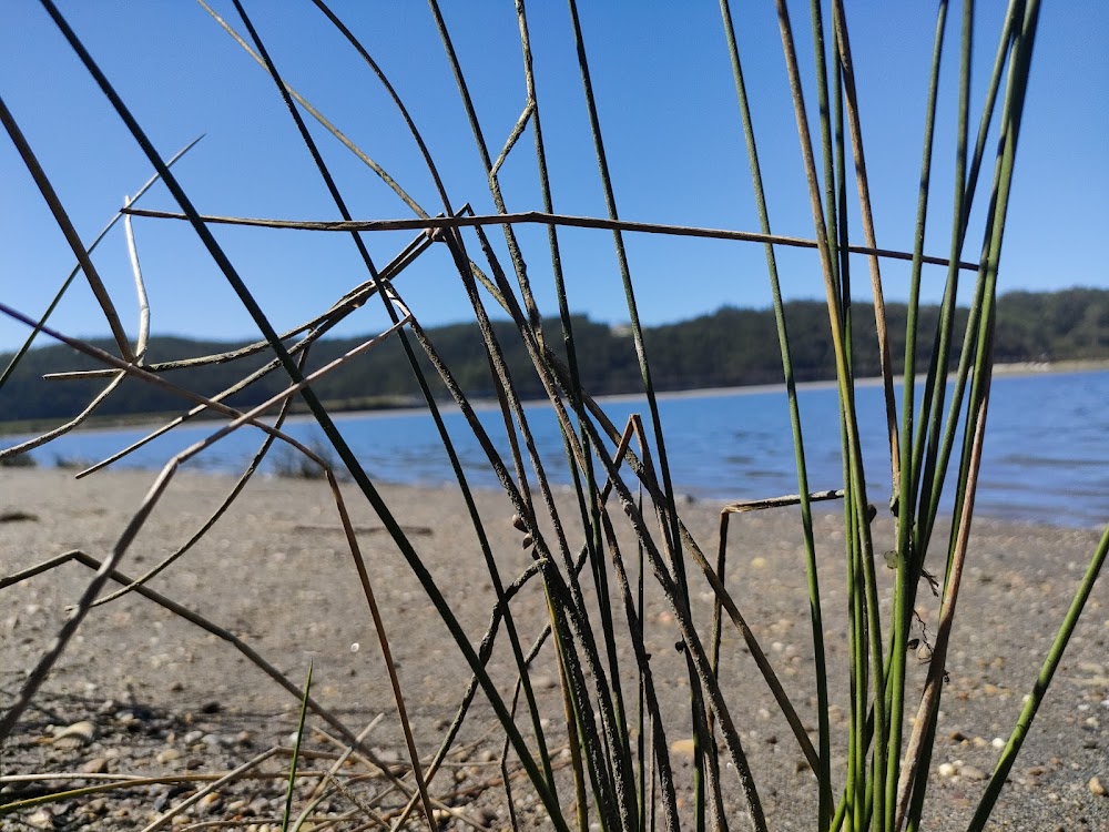 Playa de Navia