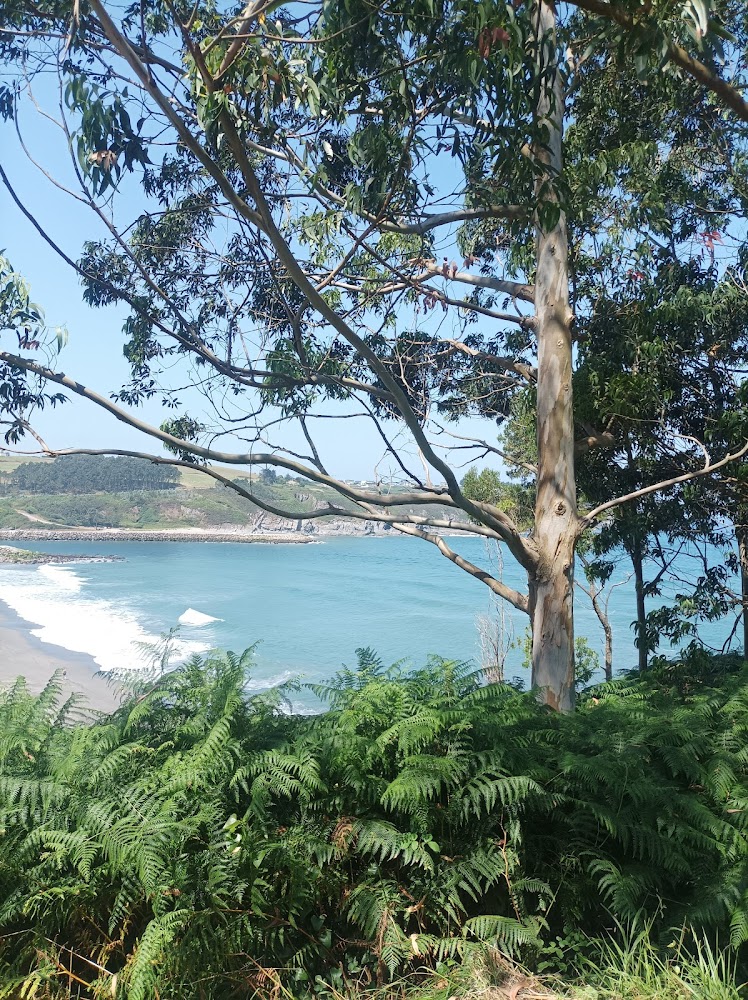Playa de Navia