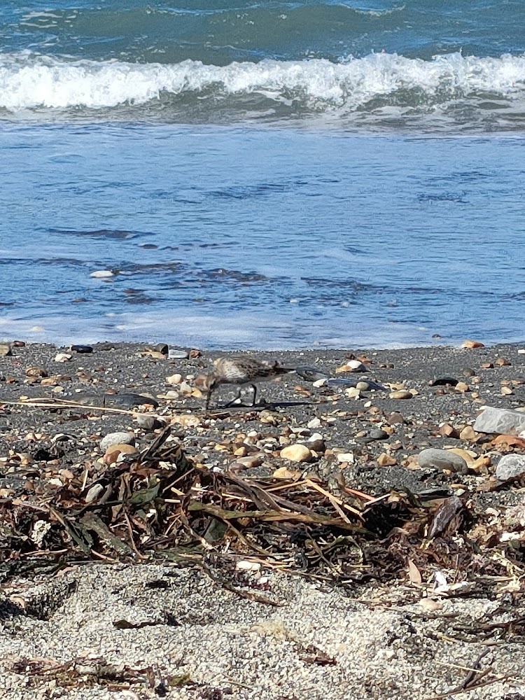 Playa de Navia