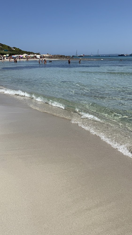 Platja de ses Salines