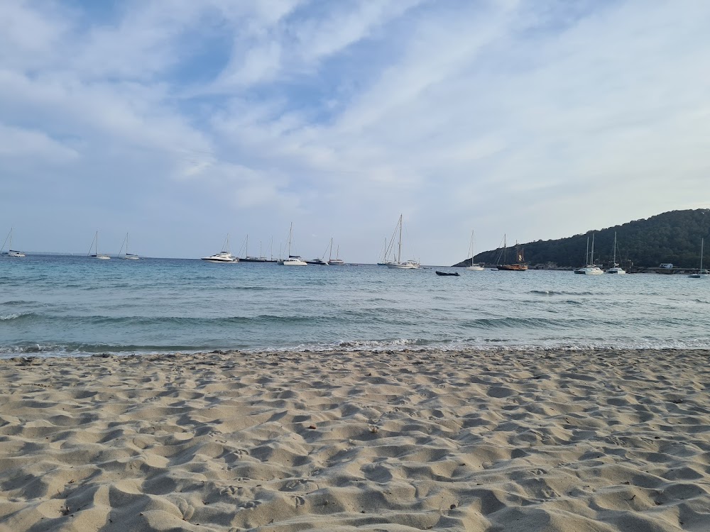 Platja de ses Salines