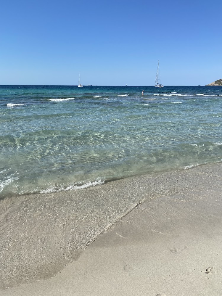 Platja de ses Salines