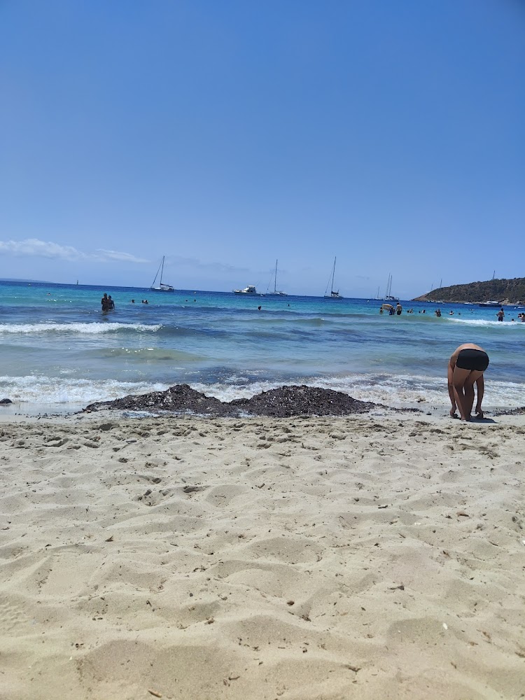 Platja de ses Salines