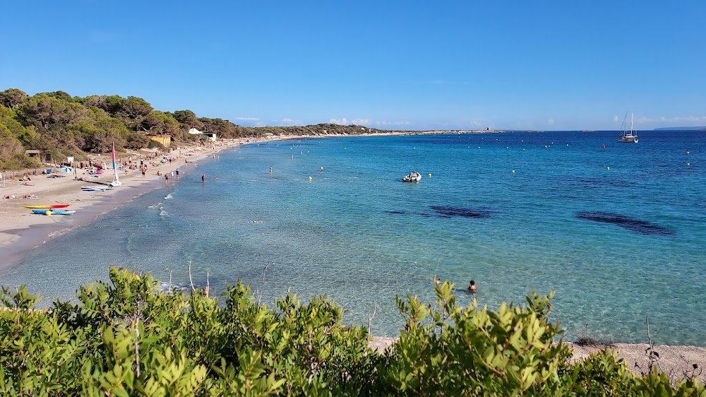Platja de ses Salines